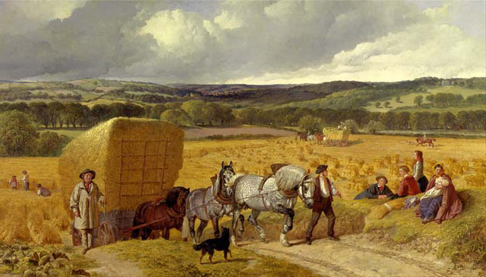 harvest 